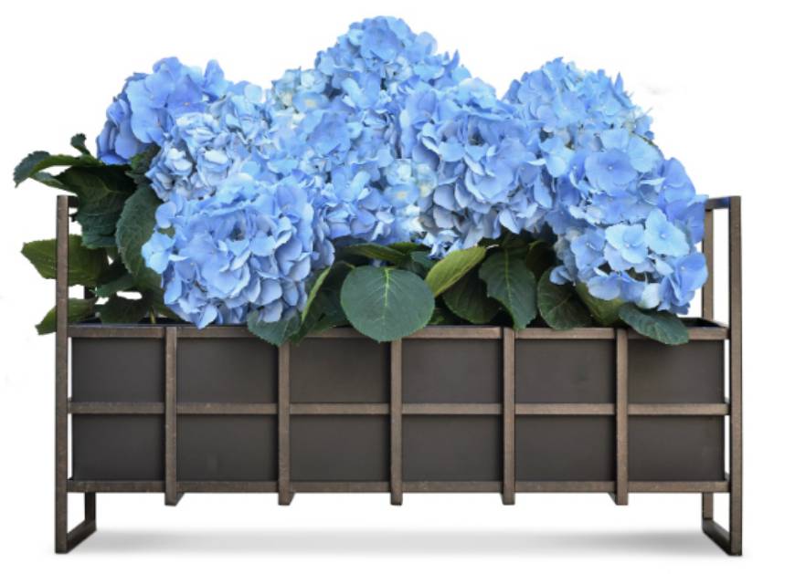 Picture of IRON CRATE PLANTER